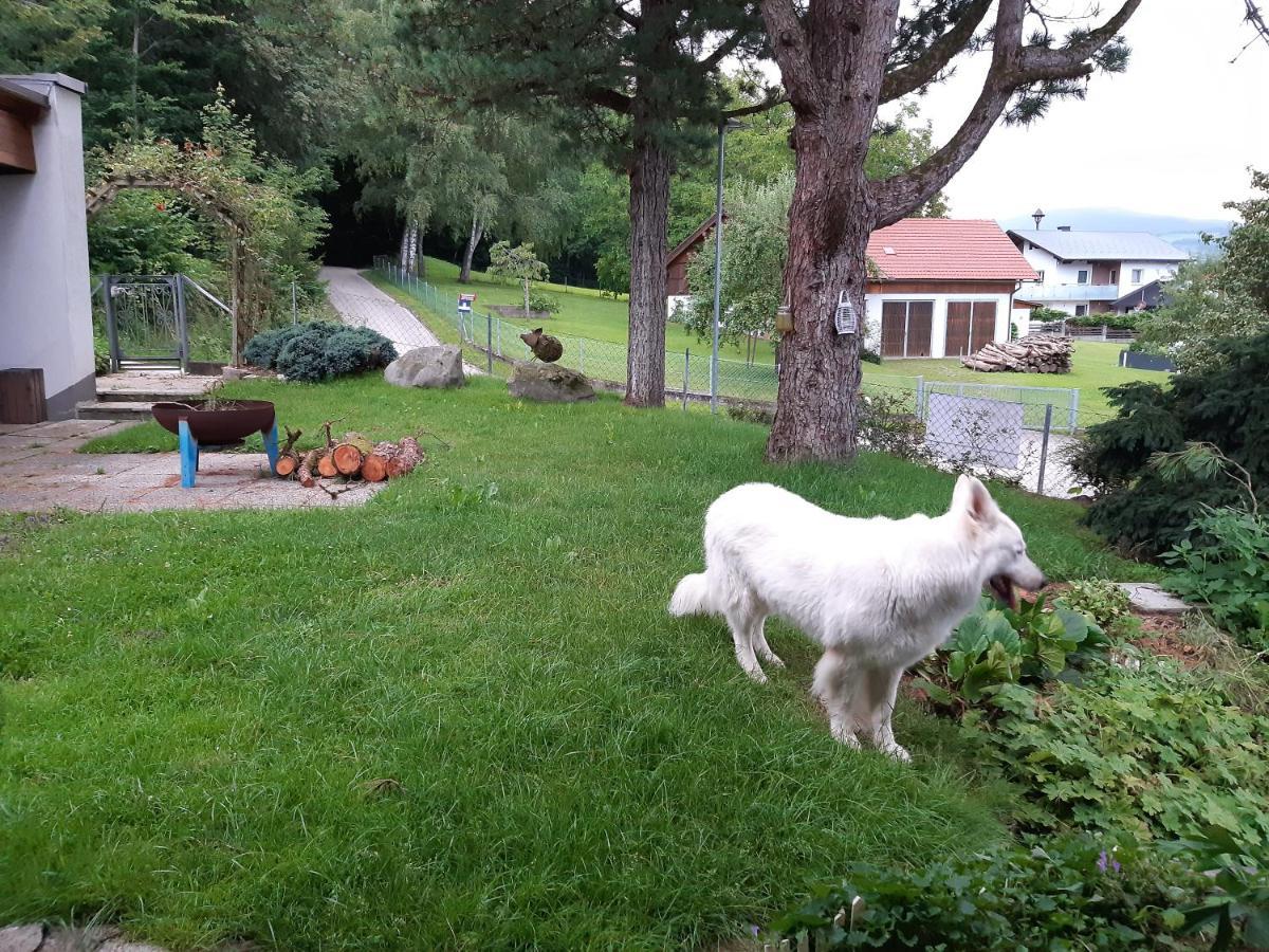 Ferienwohnung Bliem Feldkirchen in Kärnten Eksteriør billede